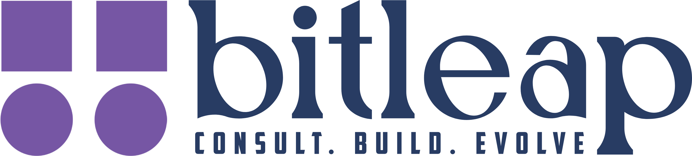 Bitleap Systems Logo